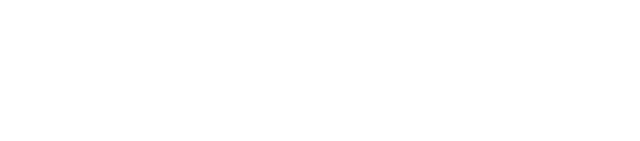Politizai